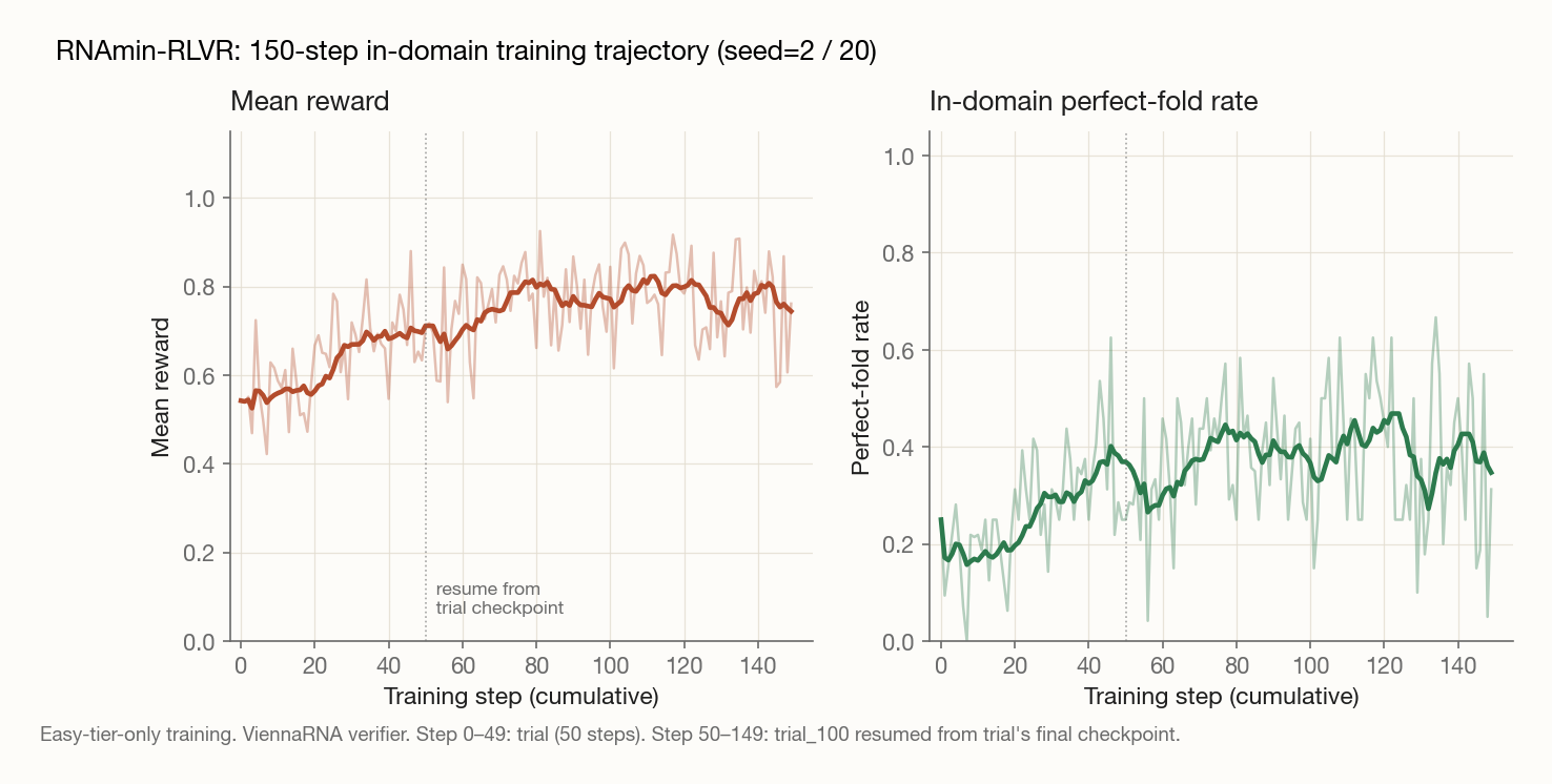 Two-panel chart showing the RNA-RLVR training trajectory across 150 cumulative steps. Left panel: mean reward climbs from about 0.55 at step 0 to roughly 0.8 by step 80 and plateaus around 0.78. Right panel: in-domain perfect-fold rate climbs from about 0.2 to roughly 0.4 with high step-to-step variance. A dotted vertical line marks step 50 where training resumed from the trial checkpoint.